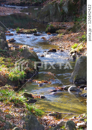 埼玉県寄居町にある鉢形城跡を流れる深沢川の秋の風景 埼玉県寄居町にある鉢形城跡を流れる深沢川の秋の風景 120842422