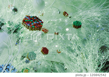 六本木のクリスマスのイルミネーション 六本木のクリスマスのイルミネーション 120842542