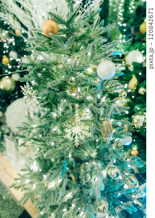 六本木のクリスマスのイルミネーション2024 六本木のクリスマスのイルミネーション2024 120842671