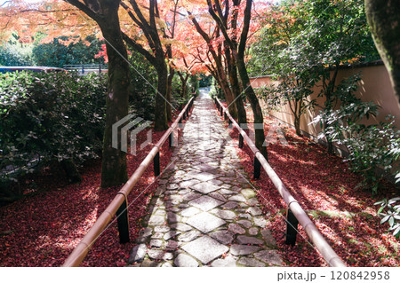 京都の美しい紅葉 京都の美しい紅葉 120842958