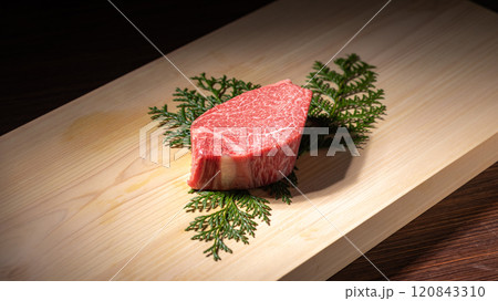 シャトーブリアン 生肉 シャトーブリアン 生肉 120843310