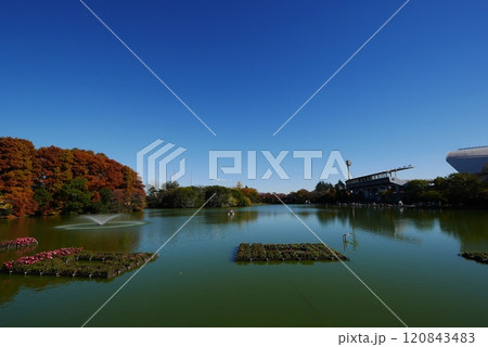紅葉が美しい秋の公園 120843483