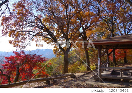 埼玉県にある鐘撞堂山の秋の山頂の風景 120843491
