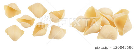 Conchiglioni italian pasta isolated on white background . Top view. Flat lay Conchiglioni italian pasta isolated on white background . Top view. Flat lay 120843596