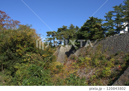 樹木に包まれる石垣 120843802