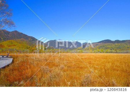奥日光戦場ヶ原ハイキングコース秋の紅葉 120843816