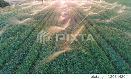 Irrigation system on the field. Irrigation system on the field. 120844204