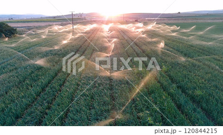 Irrigation system on the field. Irrigation system on the field. 120844215