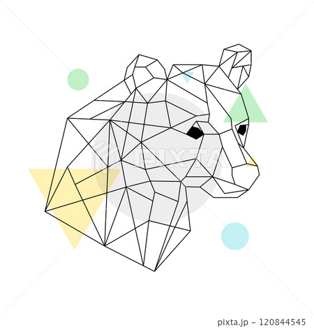 Geometric bear head illustration with abstract shapes. Minimalist line art design featuring polygons Geometric bear head illustration with abstract shapes. Minimalist line art design featuring polygons 120844545