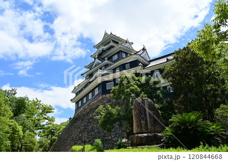 岡山城天守（外観復元）と樹木 120844668