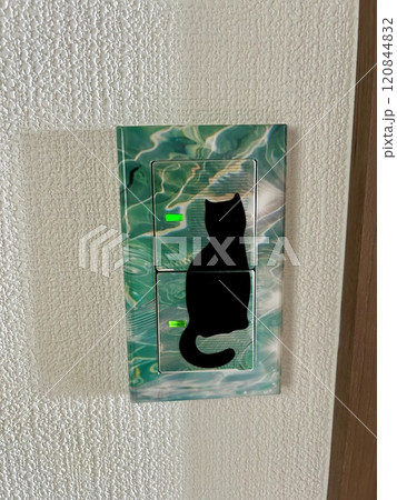 DYIした電気のスイッチ 120844832