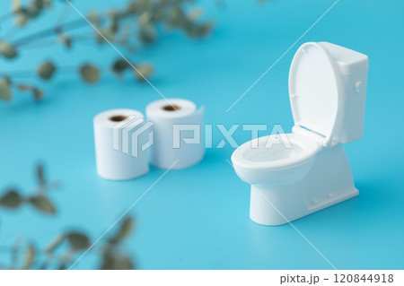 清潔なトイレのイメージ01 清潔なトイレのイメージ01 120844918