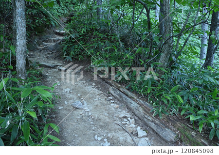 燕岳登山、北アルプス、長野県 120845098