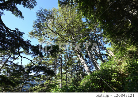燕岳登山、北アルプス、長野県 燕岳登山、北アルプス、長野県 120845121