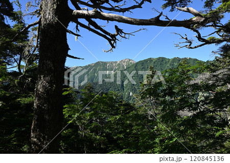 燕岳登山、北アルプス、長野県 120845136