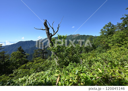燕岳登山、北アルプス、長野県 燕岳登山、北アルプス、長野県 120845146