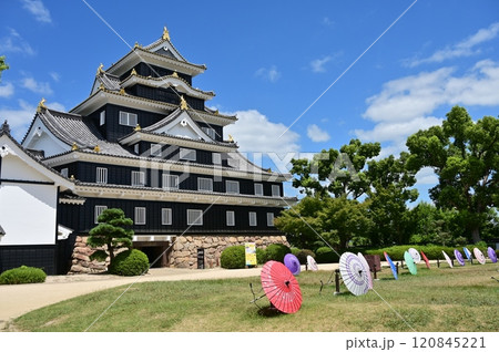 岡山城天守(外観復元)と和傘 岡山城天守(外観復元)と和傘 120845221