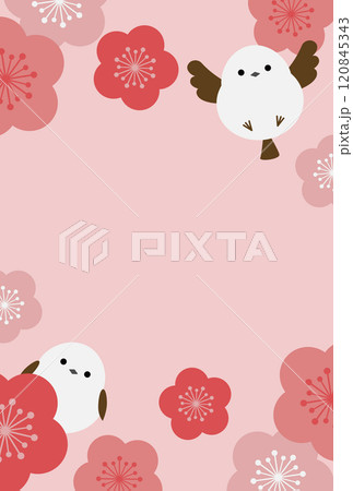 年賀状テンプレート シマエナガと梅の花 賀詞なし 年賀状テンプレート シマエナガと梅の花 賀詞なし 120845343
