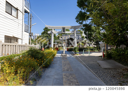 蒲田神社／大阪市淀川区 120845898