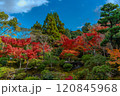 秋の紅葉 120845968