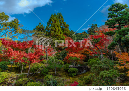 秋の紅葉 120845968