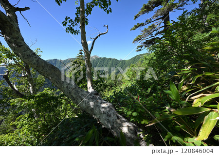 燕岳登山、北アルプス、長野県 燕岳登山、北アルプス、長野県 120846004