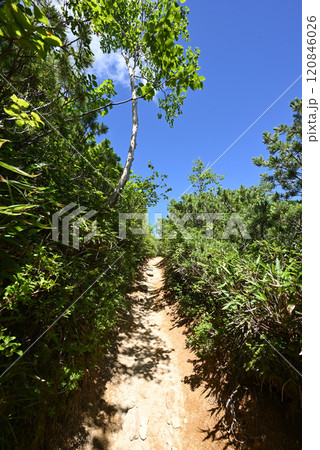 燕岳登山、北アルプス、長野県 燕岳登山、北アルプス、長野県 120846026