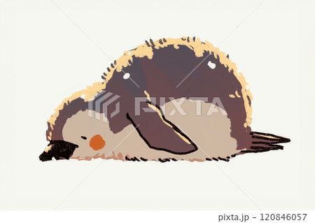 すやすや眠るペンギン すやすや眠るペンギン 120846057