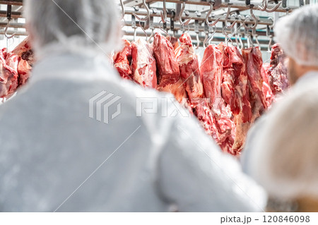 Butchers processing hanging beef carcasses in meat processing plant Butchers processing hanging beef carcasses in meat processing plant 120846098