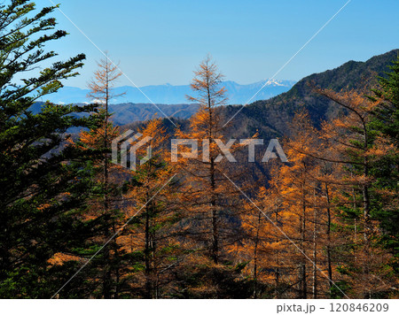 【山の風景】東京都＆埼玉県＆山梨県・秋の雲取山登山 120846209