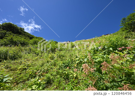 燕岳登山、北アルプス、長野県 燕岳登山、北アルプス、長野県 120846456