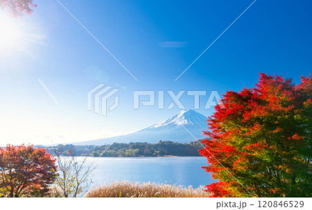 と紅葉・河口湖　fall 2024 120846529
