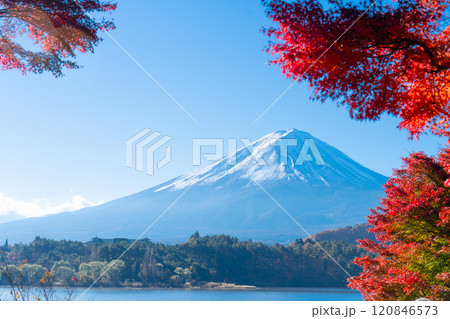 富士山と紅葉・河口湖 fall 2024 富士山と紅葉・河口湖 fall 2024 120846573