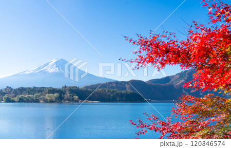 富士山と紅葉・河口湖　fall 2024 120846574