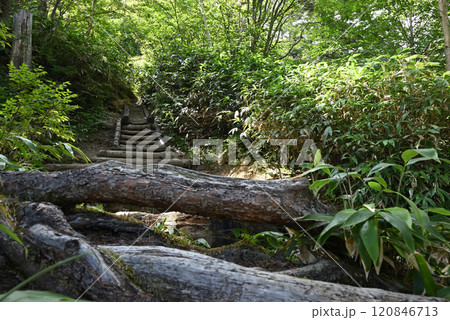 燕岳登山、北アルプス、長野県 燕岳登山、北アルプス、長野県 120846713