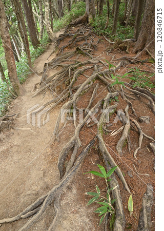 燕岳登山、北アルプス、長野県 燕岳登山、北アルプス、長野県 120846715