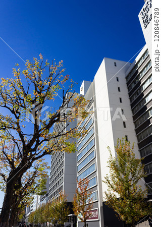 東京理科大学本部 120846789