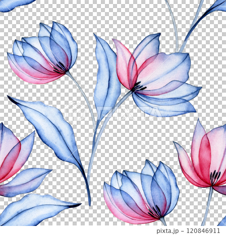 watercolor seamless pattern of transparent tulippan flowers, x-ray. elegant pink and blue print 120846911