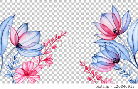 watercolor border of transparent tulips and wildflowers, x-ray. elegant pink and blue frame watercolor border of transparent tulips and wildflowers, x-ray. elegant pink and blue frame 120846915
