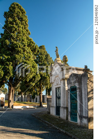 tombstones and graves in the cemetery, gravestone, burial place 120846962
