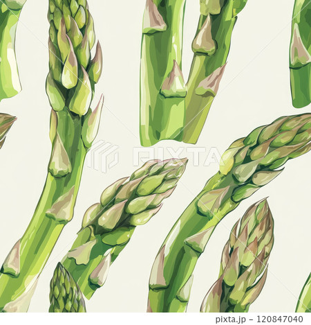 Young green asparagus pods seamless pattern 120847040
