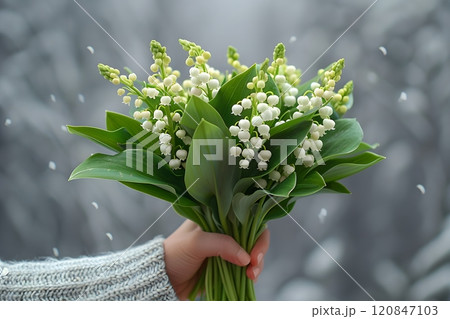 Lily of the Valley Bouquet in Hand Nature, Spring, Botanical Beauty Generative AI 120847103