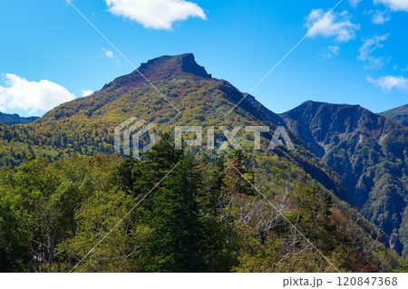 大雪山系黒岳の山並み 120847368