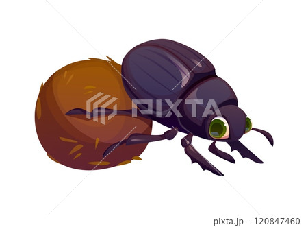 Cartoon funny scarab dung beetle insect character with large, expressive eyes rolling a dung ball. Isolated vector pest or bug, natural world creature, adorable personage with excrement ball 120847460