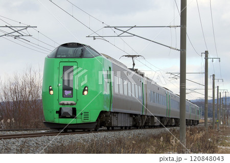 函館本線を疾走する特急ライラック　特急ライラック 120848043