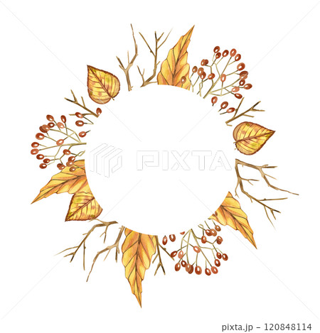 Round frame of dried flowers, acorns, yellow leaves, viburnum berries, tree branches. All objects are hand-drawn with watercolors. Watercolor illustration. Suitable for postcards, invitations. 120848114