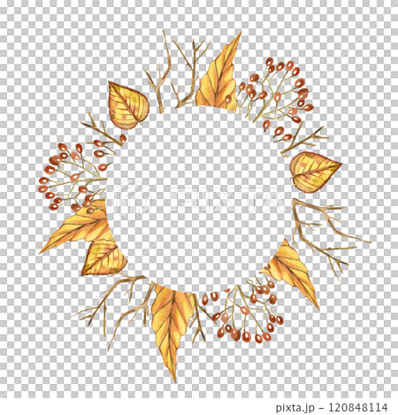 Round frame of dried flowers, acorns, yellow leaves, viburnum berries, tree branches. All objects are hand-drawn with watercolors. Watercolor illustration. Suitable for postcards, invitations. 120848114