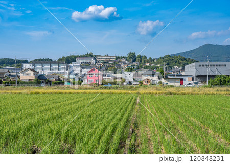 浜松市引佐の街並みと田んぼの風景(静岡県) 120848231