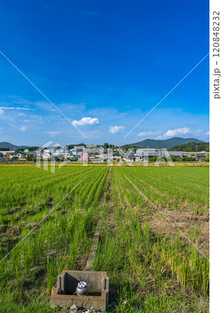 浜松市引佐の街並みと青空と田んぼの風景(静岡県) 120848232