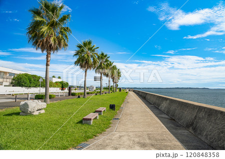 りんくう展望ひろば駐車場付近の海岸沿いの遊歩道から眺める海の風景(愛知県) りんくう展望ひろば駐車場付近の海岸沿いの遊歩道から眺める海の風景(愛知県) 120848358